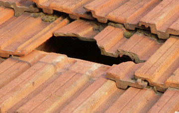 roof repair Borden