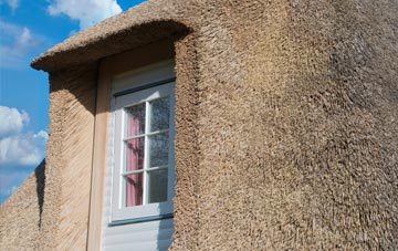 Borden thatch roof disadvantages