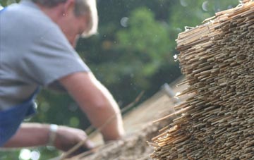 professional Borden thatchers